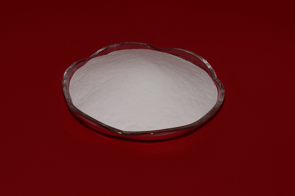 白剛玉在藝術品修復中的精湛技藝