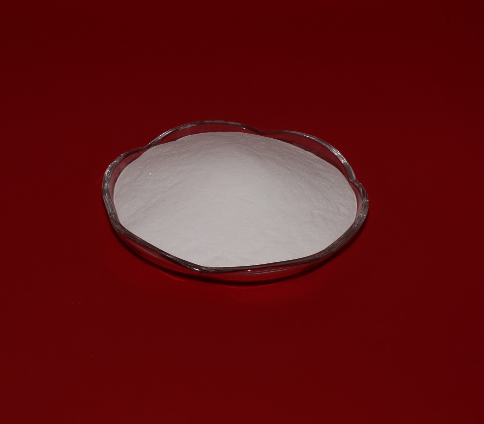 白剛玉在藝術品修復中的精湛技藝